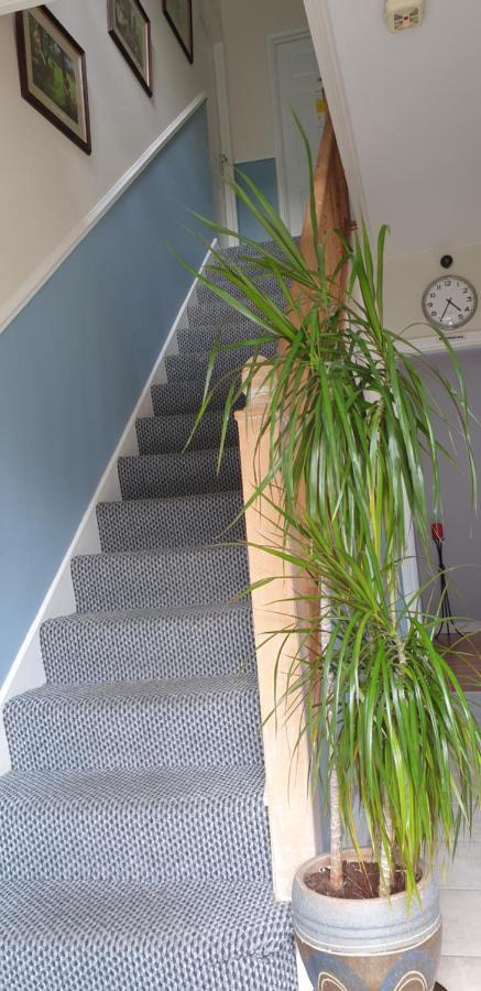 キャヴァン Farnham House Bed & Breakfast エクステリア 写真